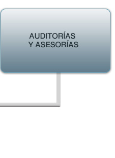 Auditorías y asesorías